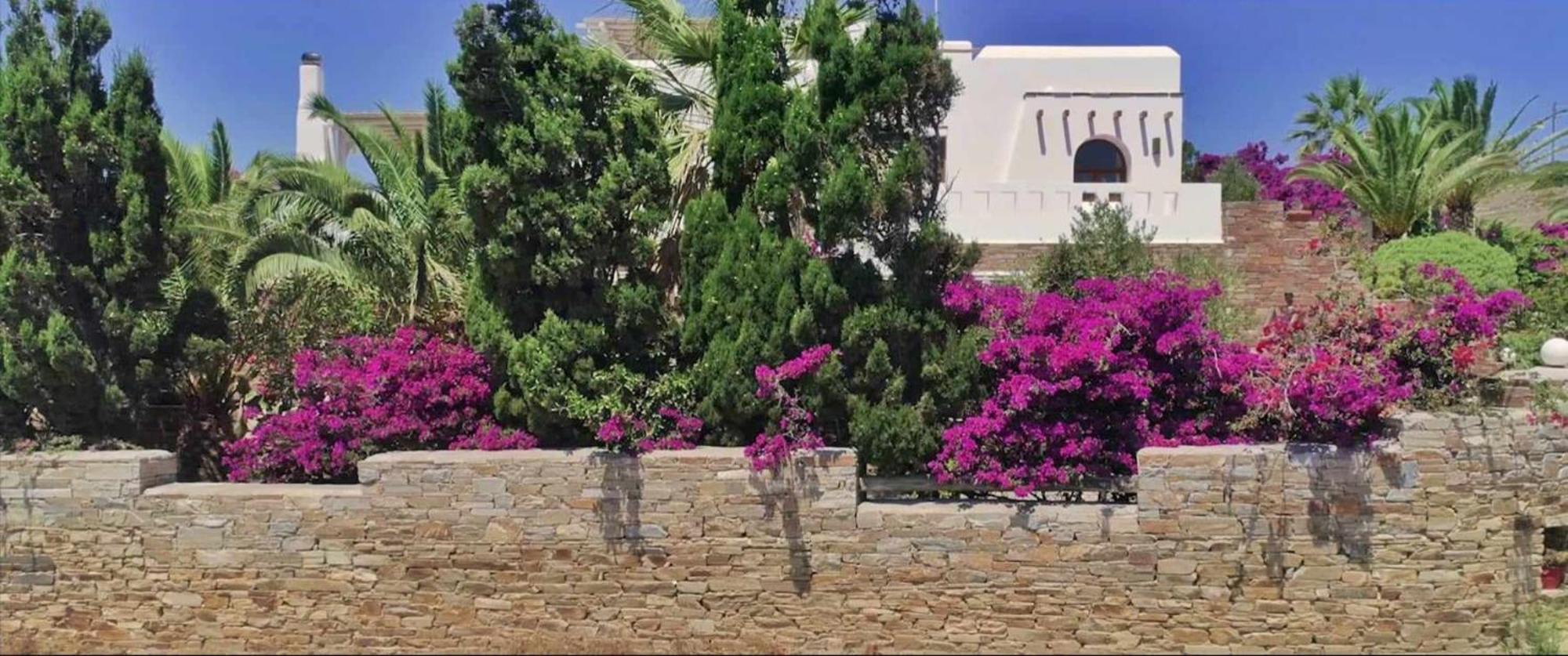 Villa Pari Manda Агиос Прокопиос Екстериор снимка